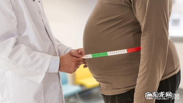 低碳水饮食会让人变笨吗?