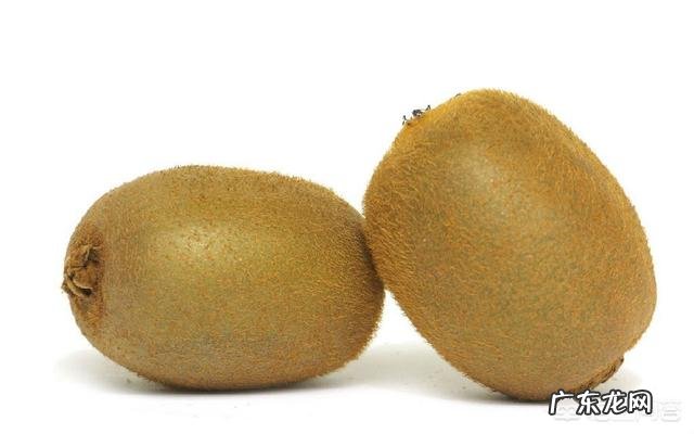 产后第九天,吃水果可以吗?饮食方面需要注意什么?