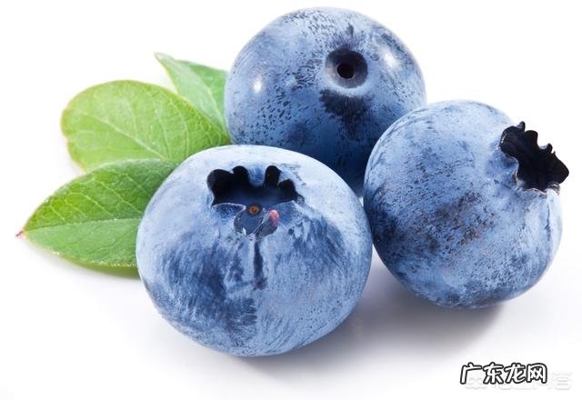 产后第九天,吃水果可以吗?饮食方面需要注意什么?