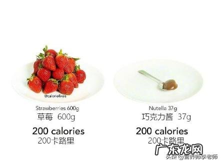 女生晚上饿了吃什么不会长胖和长脂肪?