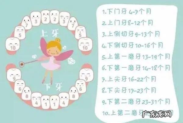 宝宝几个月才长牙,为什么?要注意什么?