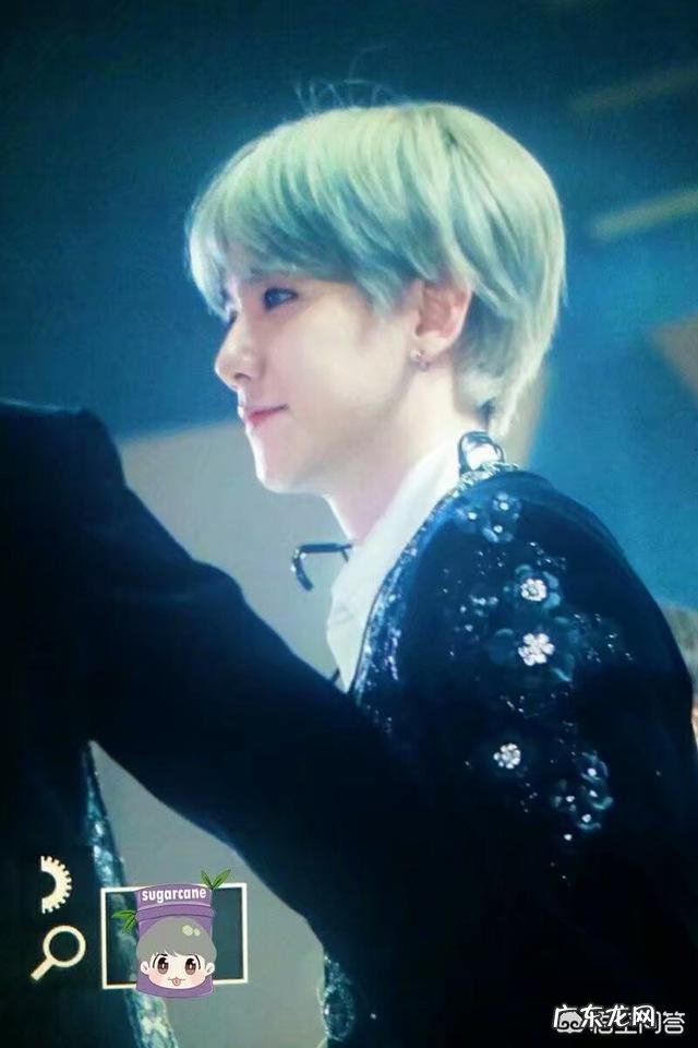 哪一首歌是你听的次数最多的?