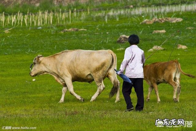 为什么湖南邵阳人做生意能走遍全天下