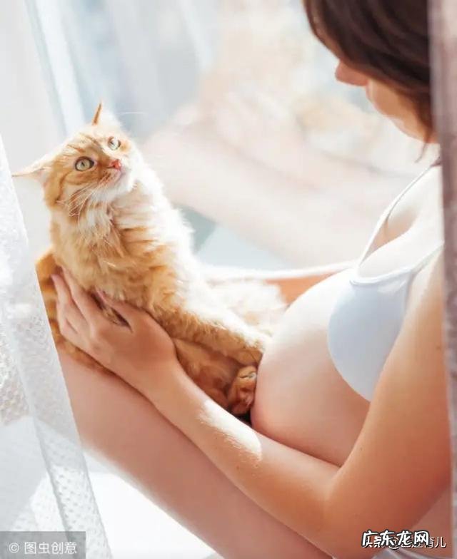 孕妇喝牛奶也有讲究,这些孕妇晚上千万别喝牛奶,哪些呢?