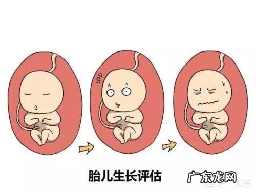 离预产期还有24天胎儿还没4斤重怎么办?