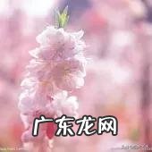 一个女人从内在到外在可以优秀到什么地步？