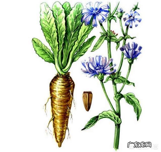 痛风患者能否采用生酮饮食方法?