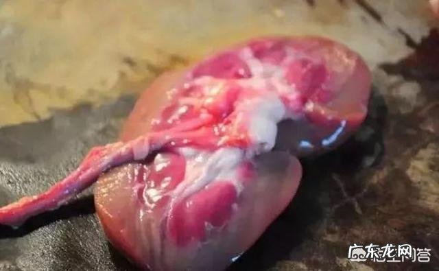 痛风患者能否采用生酮饮食方法?