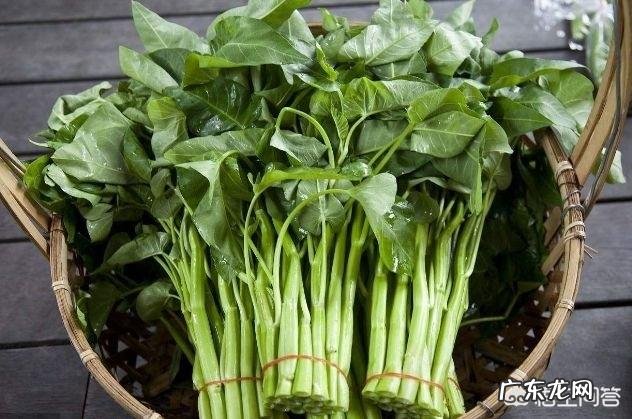 痛风患者能否采用生酮饮食方法?