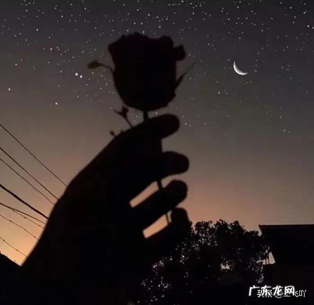 有什么好的文案吗？无关爱情？