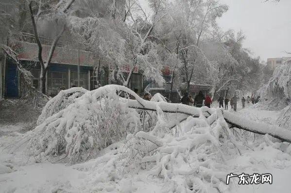 王心凌演过电视 王心凌饰演过的电视剧