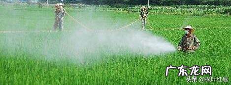 什么是有机护肤品有不错的有机护肤品牌推荐吗