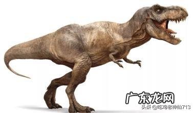 霸王龙对三角龙,谁会获得胜利?