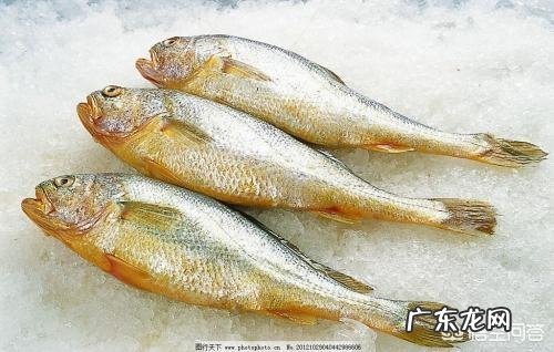 孕妇吃鱼好吗?该如何安全选鱼呢?