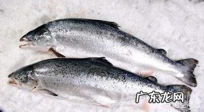 孕妇吃鱼好吗?该如何安全选鱼呢?