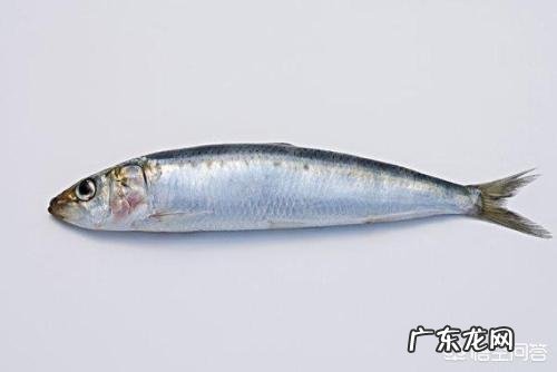 孕妇吃鱼好吗?该如何安全选鱼呢?