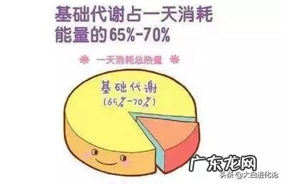 精致碳水化合物包括什么食物?