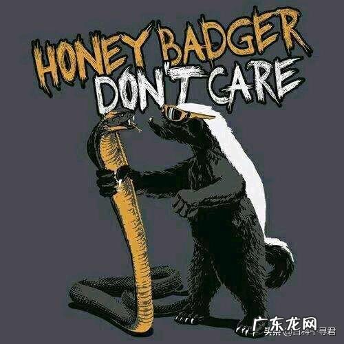 如果猫和老虎的体型一样大,如果打起来谁会赢