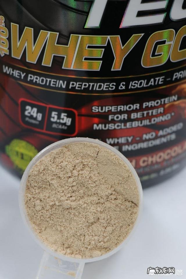 你们喝什么牌子的蛋白质粉?