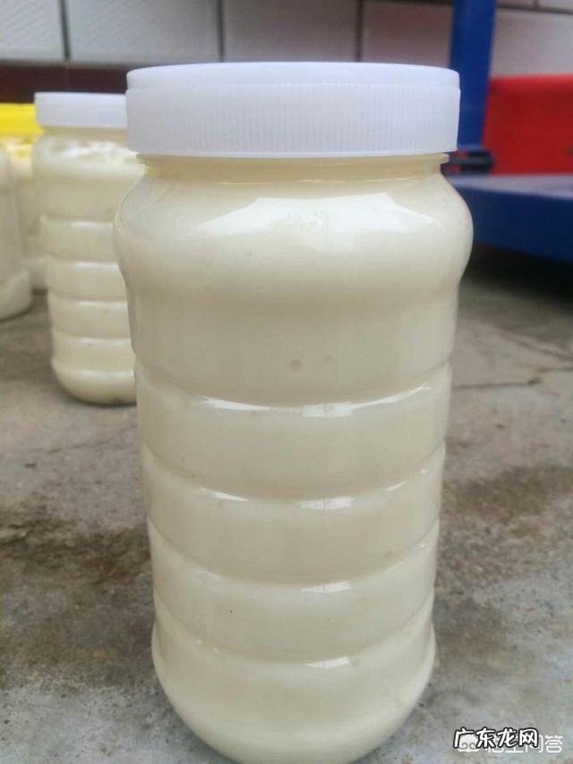 晚上睡觉前喝蜂蜜好还是牛奶好?