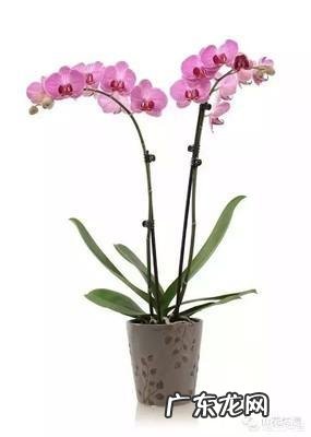 身高一米五,47公斤算瘦吗,胖吗?