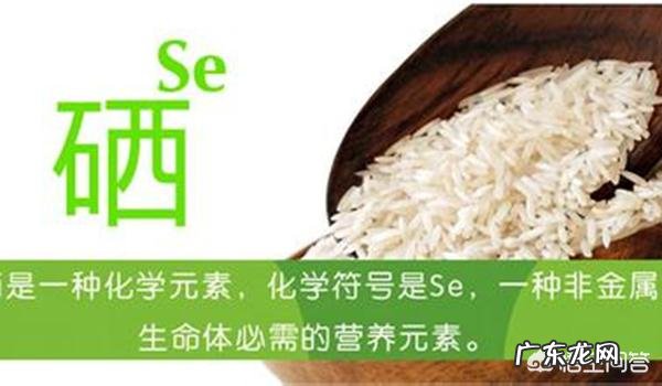 身体长了脂肪会与健康有直接关系吗？