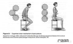 如何改善圆肩？是否需要在调整体态后，进行孤立训练？