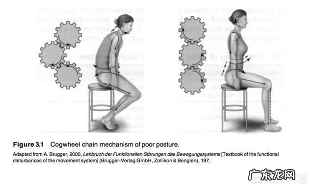 如何改善圆肩?是否需要在调整体态后,进行孤立训练?