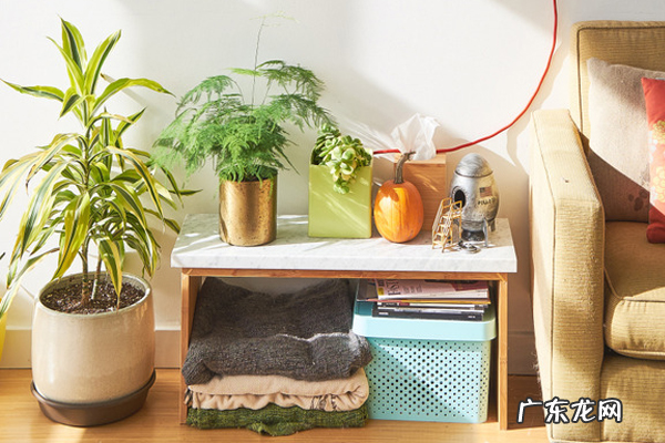 抖音视频文案可以抄别人的吗?有什么运营技巧?