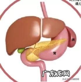 脾胃对于孩子生长发育有多重要如何健脾补脾