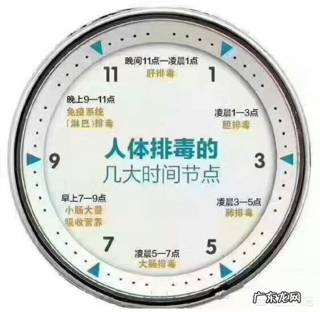 为什么要给淋巴排毒,淋巴在身体中起到什么样的作用呢?