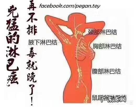 为什么要给淋巴排毒,淋巴在身体中起到什么样的作用呢?