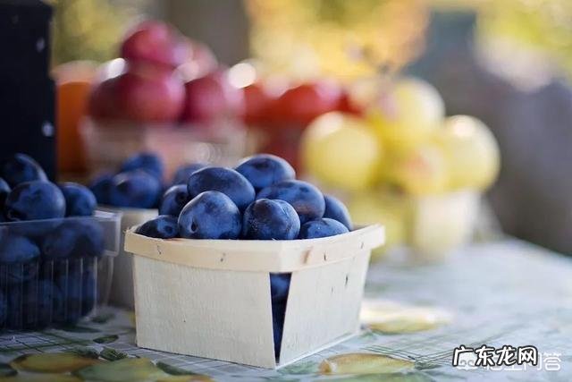 早餐喝一碗粥外加苹果和鸡蛋各一个,营养全面吗?