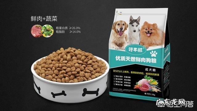 博美犬标准体重是多少,该怎样养这种狗?