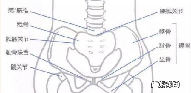 舞蹈趴青蛙压胯需要天天压吗,可是第二天胯很疼还要坚持吗? 舞蹈压青蛙胯过程