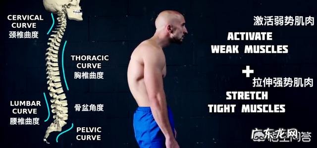 网络词“饭圈的举铁”是什么意思?