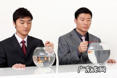 想通过节食减肥,坚持不下去怎么办?