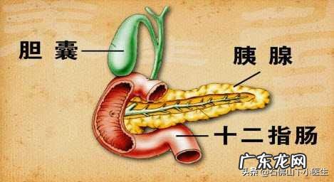 老年人各个器官都健康,身体一直消瘦是什么原因?