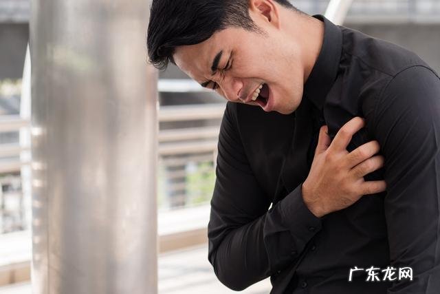 猪肉是造成心脑血管疾病的罪魁祸首吗?