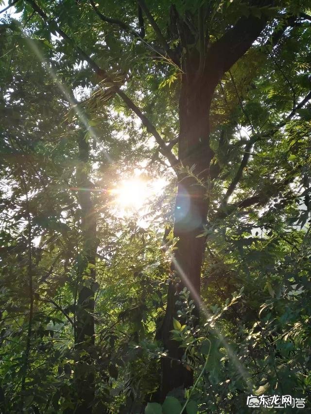 人一般在哪个年纪外表变化最大