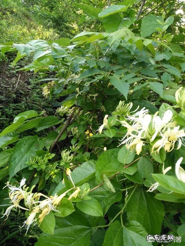 人一般在哪个年纪外表变化最大