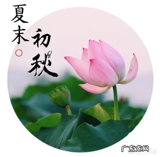 中药调节脾胃会增重吗为什么