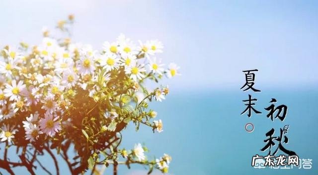 中药调节脾胃会增重吗为什么