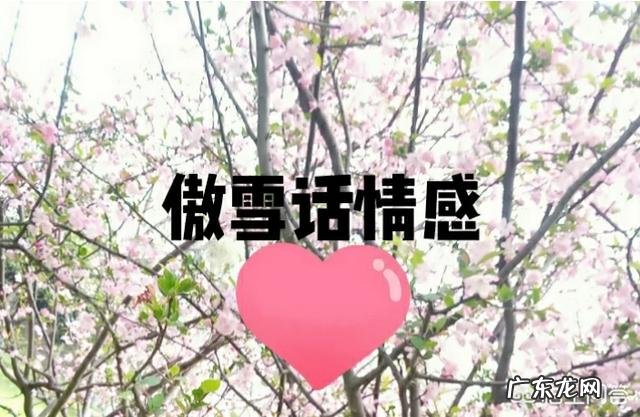 两口子来自不同省份,饮食习惯差异大会有怎样的趣事?