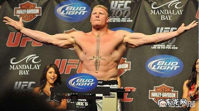 WWE摔角手和UFC综合格斗选手如果打的话,谁赢的几率更大