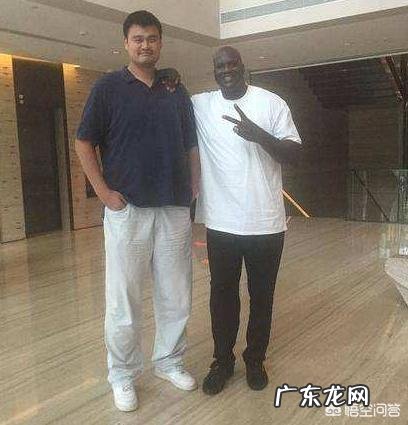 胸部最好的训练模式是什么？