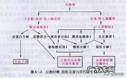 各位大夫你们好:请问吃他叮药影响血糖升高、应该怎样办?