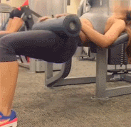 为什么有人说养狗要养柯基犬? 养狗狗的基础知识柯基