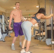 为什么有人说养狗要养柯基犬? 养狗狗的基础知识柯基