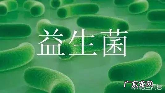 益生菌和酵母是不是一样的